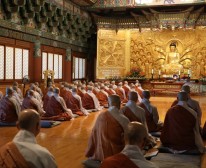 IMG_0347.JPG